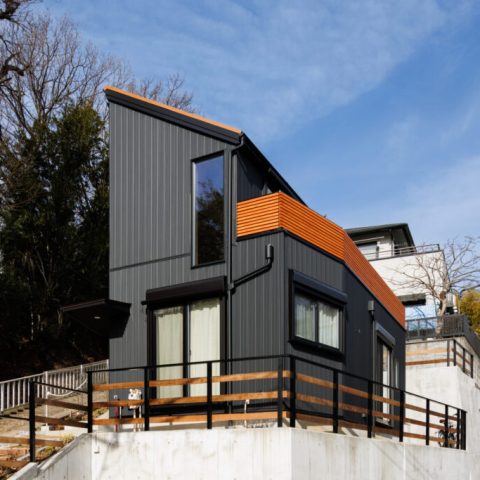 こばじゅう_高台に建てた三角形の家