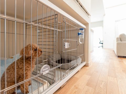 株式会社穴井工務店が手がけた注文住宅の施工事例（モデルハウス・住宅展示場）