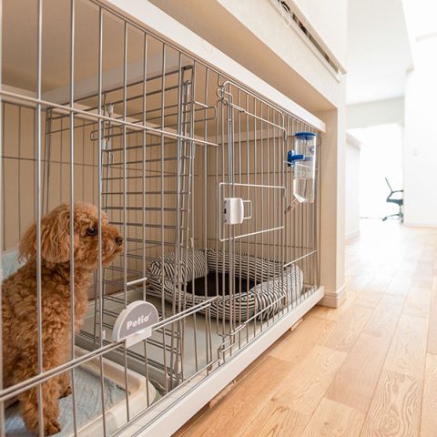 穴井工務店_ペットと暮らす家