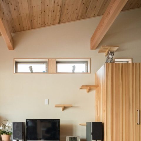 こばじゅう_猫と暮らす平屋の家