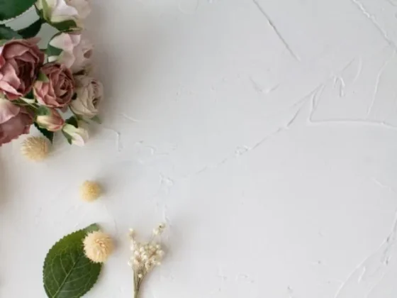 住宅展示場 注文住宅 モデルハウス 工務店 晃榮住宅 久留米市