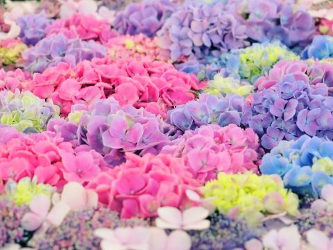 広島県府中市の注文住宅・モデルハウスなら、エムズワークス