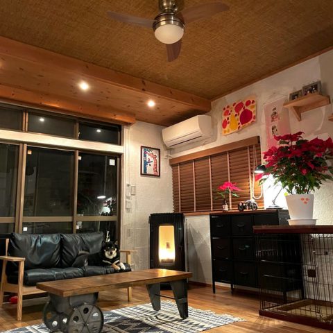 株式会社KOCHIBE_ペットも安心快適空間