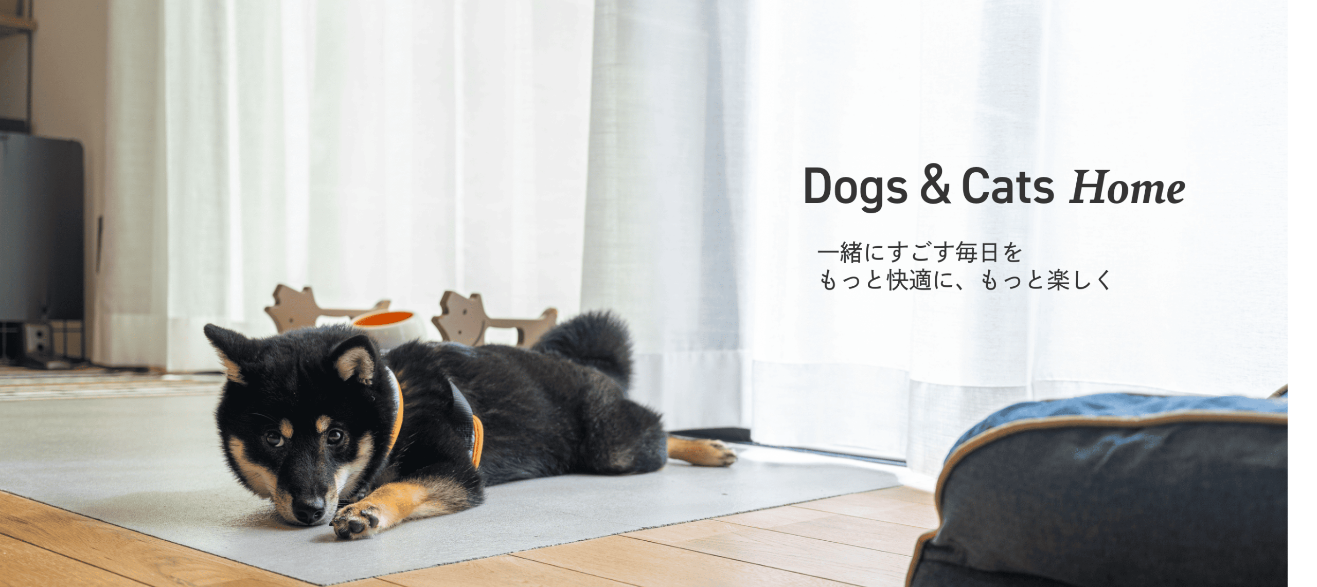 全建の注文住宅・家づくりの特徴｜新潟県新潟市で叶える高性能で自分らしい住まい