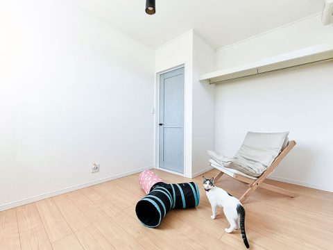 株式会社エスホームが手がけた注文住宅の施工事例（モデルハウス・住宅展示場）