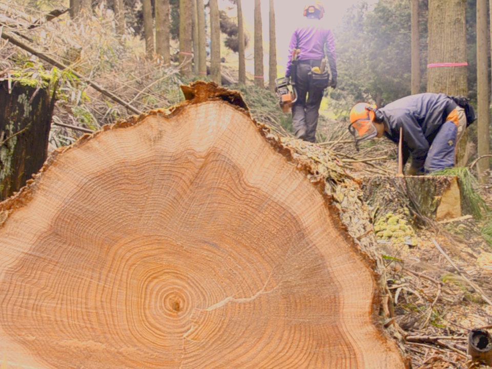 注文住宅を手がける工務店が集まる団体｜住宅展示場ネット