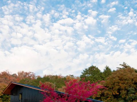 住宅展示場ネット 注文住宅 モデルハウス 工務店 中井工務店 丹波篠山市