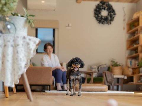 が手がけた注文住宅の施工事例（モデルハウス・住宅展示場）