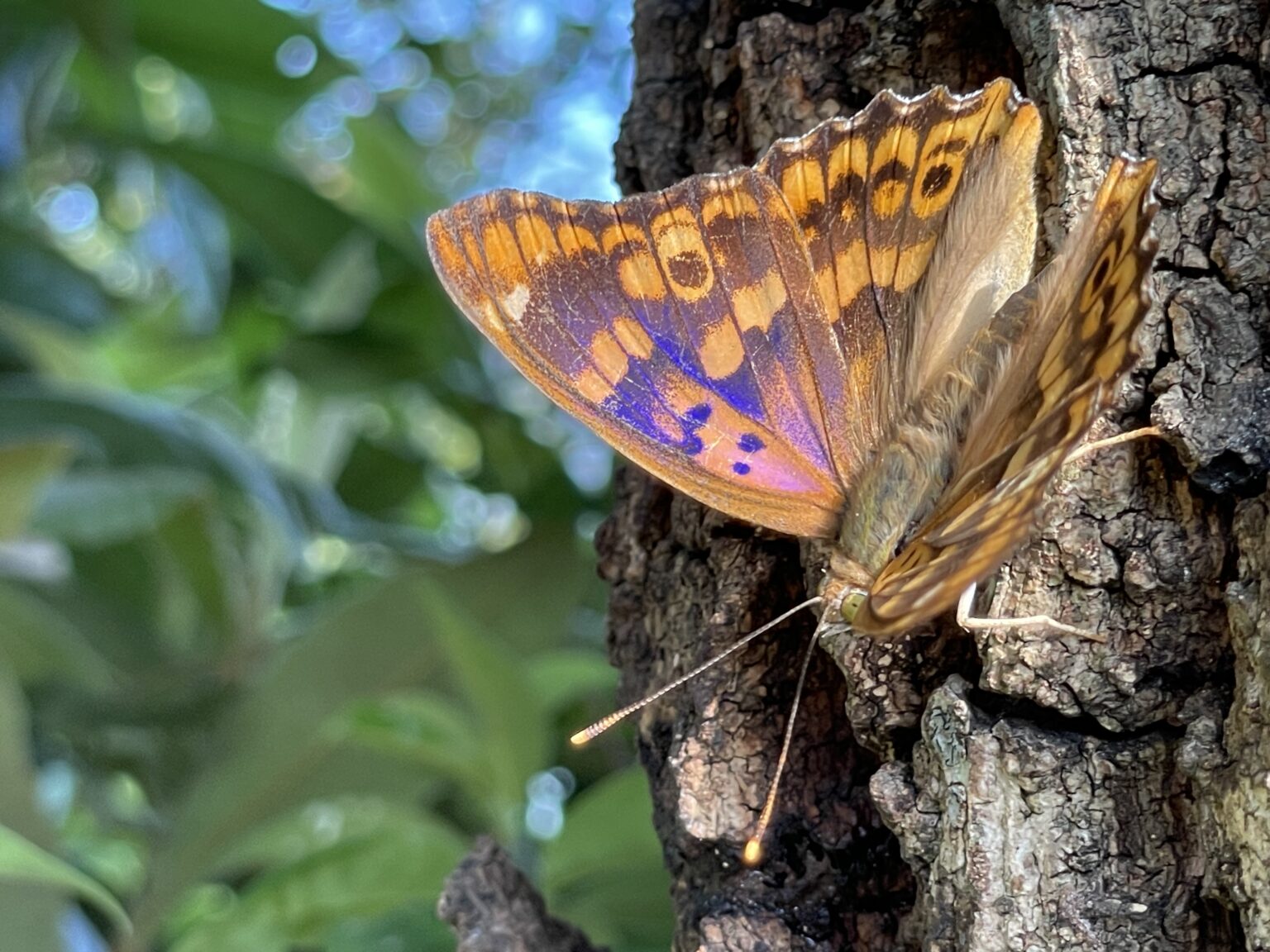 注文住宅を手がける工務店が集まる団体｜住宅展示場ネット
