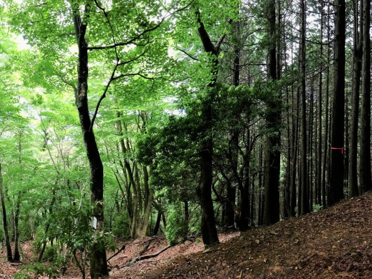 注文住宅を手がける工務店が集まる団体｜住宅展示場ネット