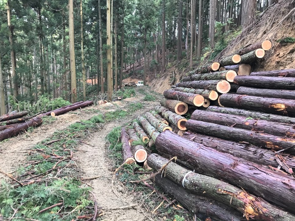 注文住宅を手がける工務店が集まる団体｜住宅展示場ネット