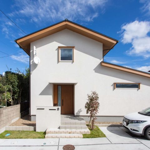 ソネケン_ダウンリビングのある家