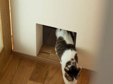 株式会社カネソ曽根建業が手がけた注文住宅の施工事例（モデルハウス・住宅展示場）