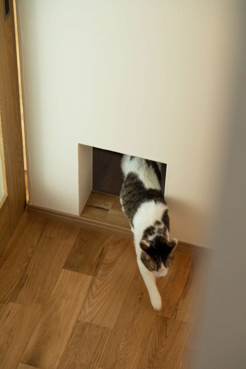 株式会社カネソ曽根建業が手がけた注文住宅の施工事例（モデルハウス・住宅展示場）