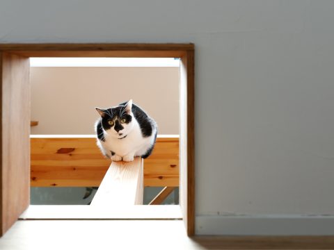 株式会社ひかり工務店が手がけた注文住宅の施工事例（モデルハウス・住宅展示場）