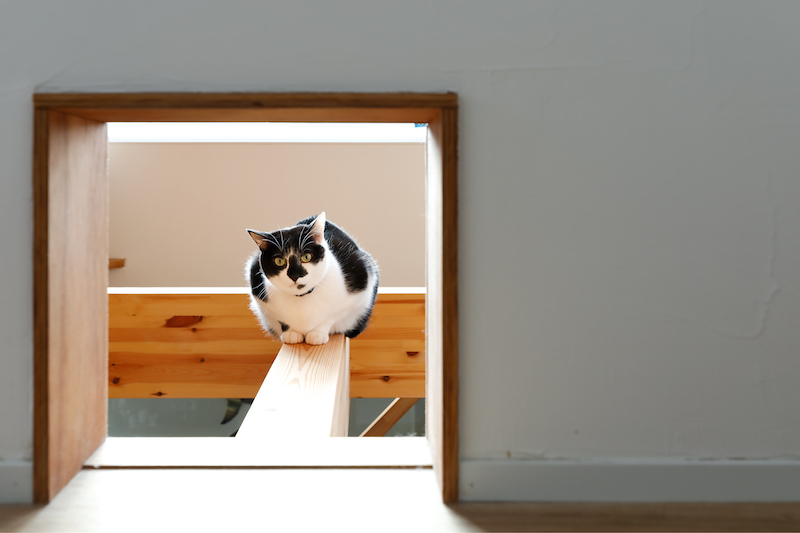 株式会社ひかり工務店が手がけた注文住宅の施工事例（モデルハウス・住宅展示場）