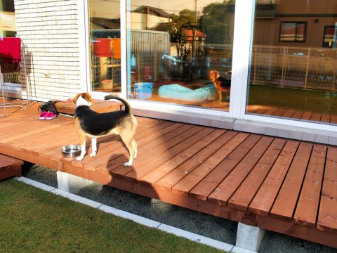 が手がけた注文住宅の施工事例（モデルハウス・住宅展示場）