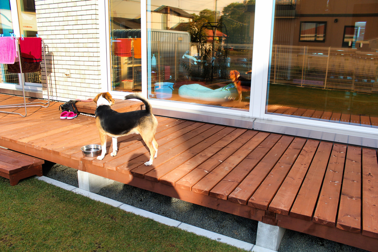 が手がけた注文住宅の施工事例（モデルハウス・住宅展示場）