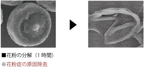原田建設の住宅・家づくりの特徴｜島根県邑南町で叶える高性能で自分らしい住まい