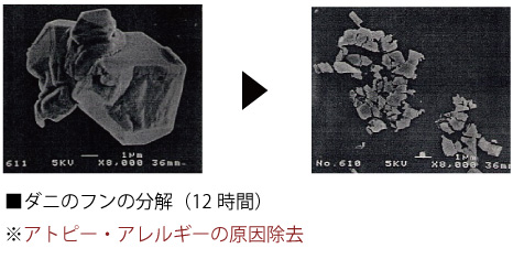 原田建設の住宅・家づくりの特徴｜島根県邑南町で叶える高性能で自分らしい住まい
