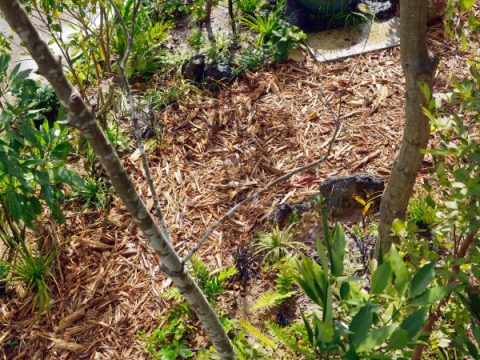 株式会社工藤工務店が手がけた注文住宅の施工事例（モデルハウス・住宅展示場）