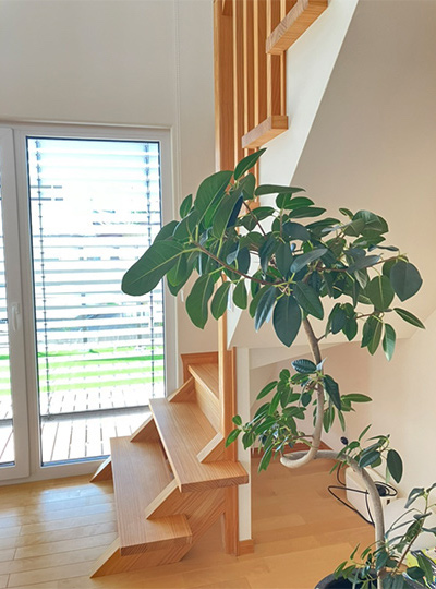 住宅展示場 注文住宅 モデルハウス 工務店 ワカバハウス つくば市