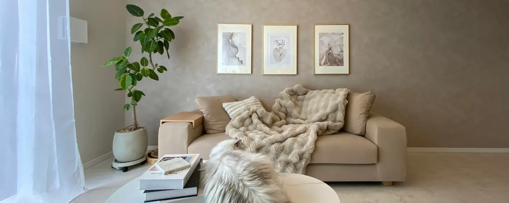 タイセーハウジング株式会社が手がけた注文住宅の施工事例（モデルハウス・住宅展示場）