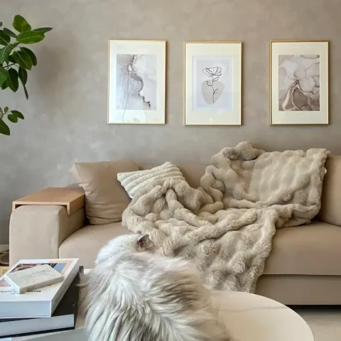 タイセーハウジング_ホテルライクキャットハウス