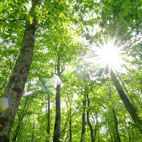 旭ホームズの注文住宅・家づくりの特徴｜兵庫県姫路市で叶える高性能で自分らしい住まい