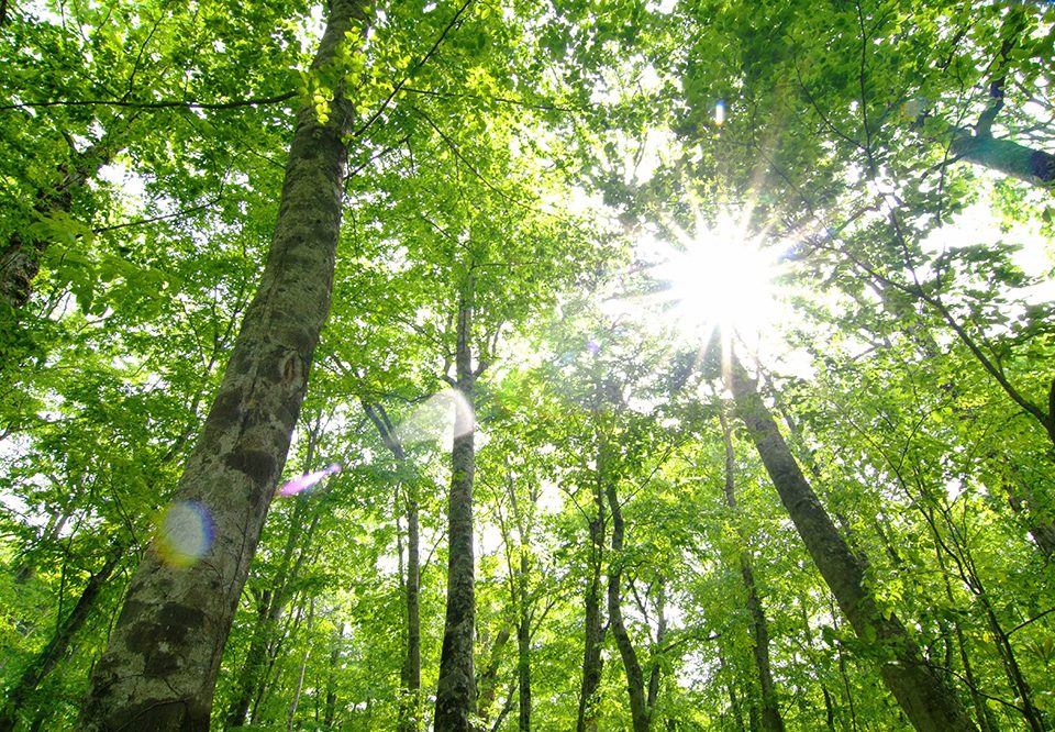 旭ホームズの注文住宅・家づくりの特徴｜兵庫県姫路市で叶える高性能で自分らしい住まい