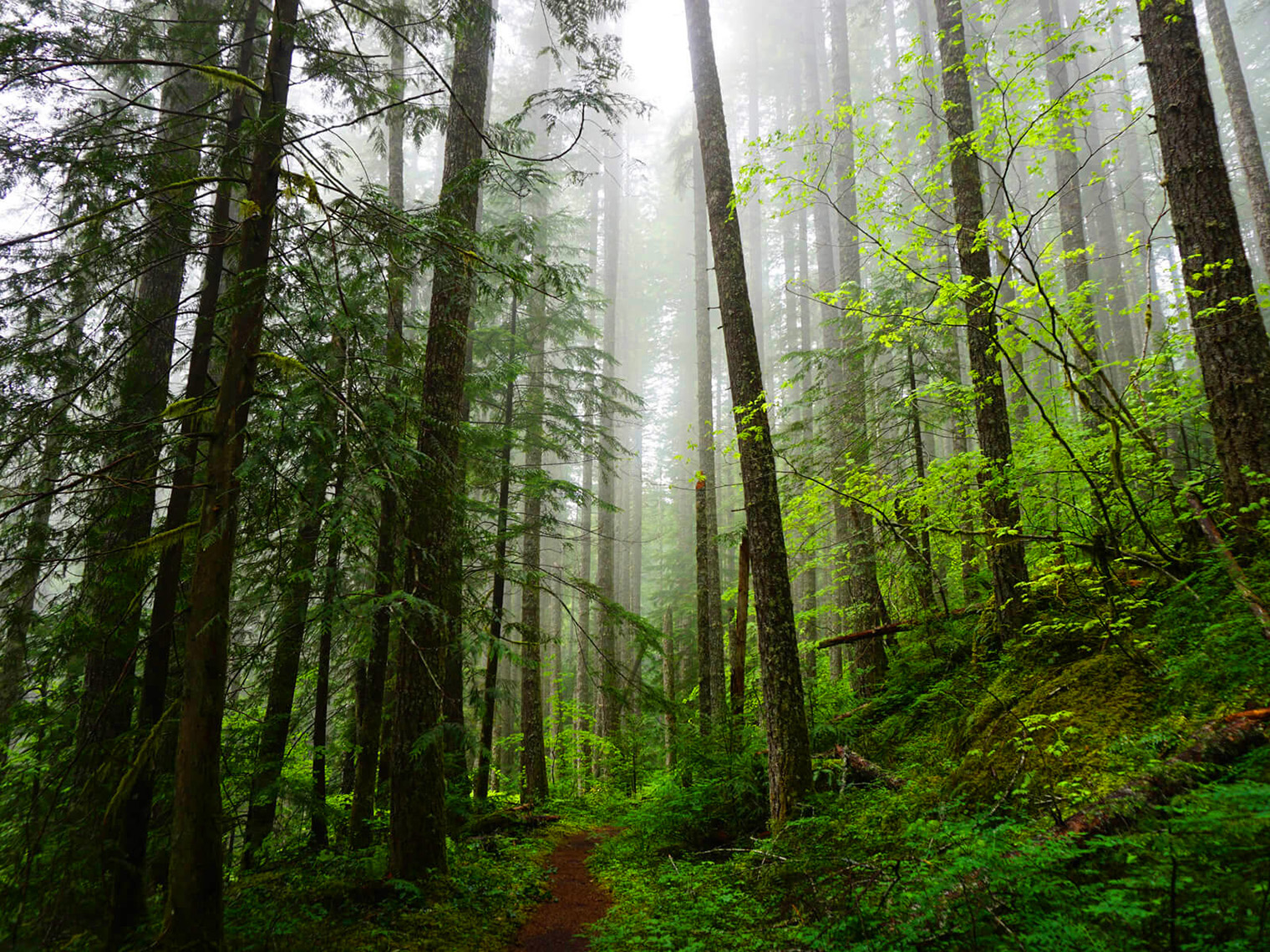 住宅展示場 里山製材所グループの注文住宅 工務店 設計事務所 兵庫県