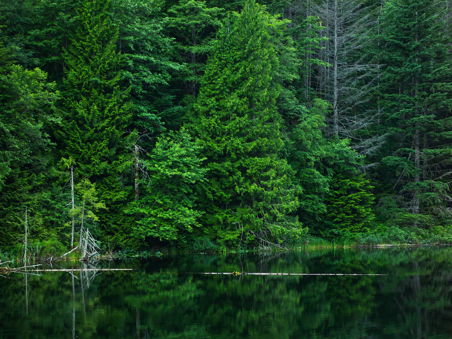 住宅展示場 里山製材所グループの注文住宅 工務店 設計事務所 兵庫県