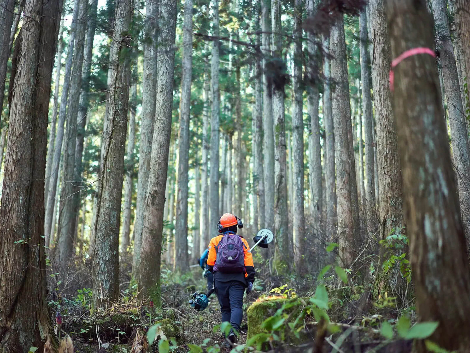 住宅展示場 里山製材所グループの注文住宅 工務店 設計事務所 兵庫県