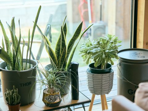 が手がけた注文住宅の施工事例（モデルハウス・住宅展示場）