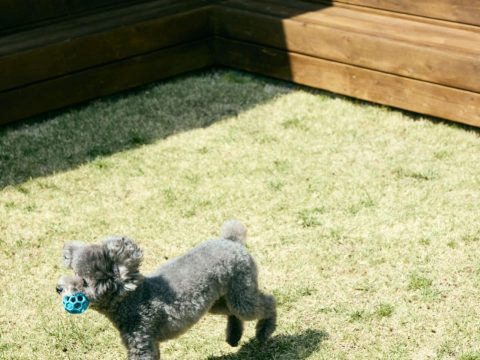 が手がけた注文住宅の施工事例（モデルハウス・住宅展示場）