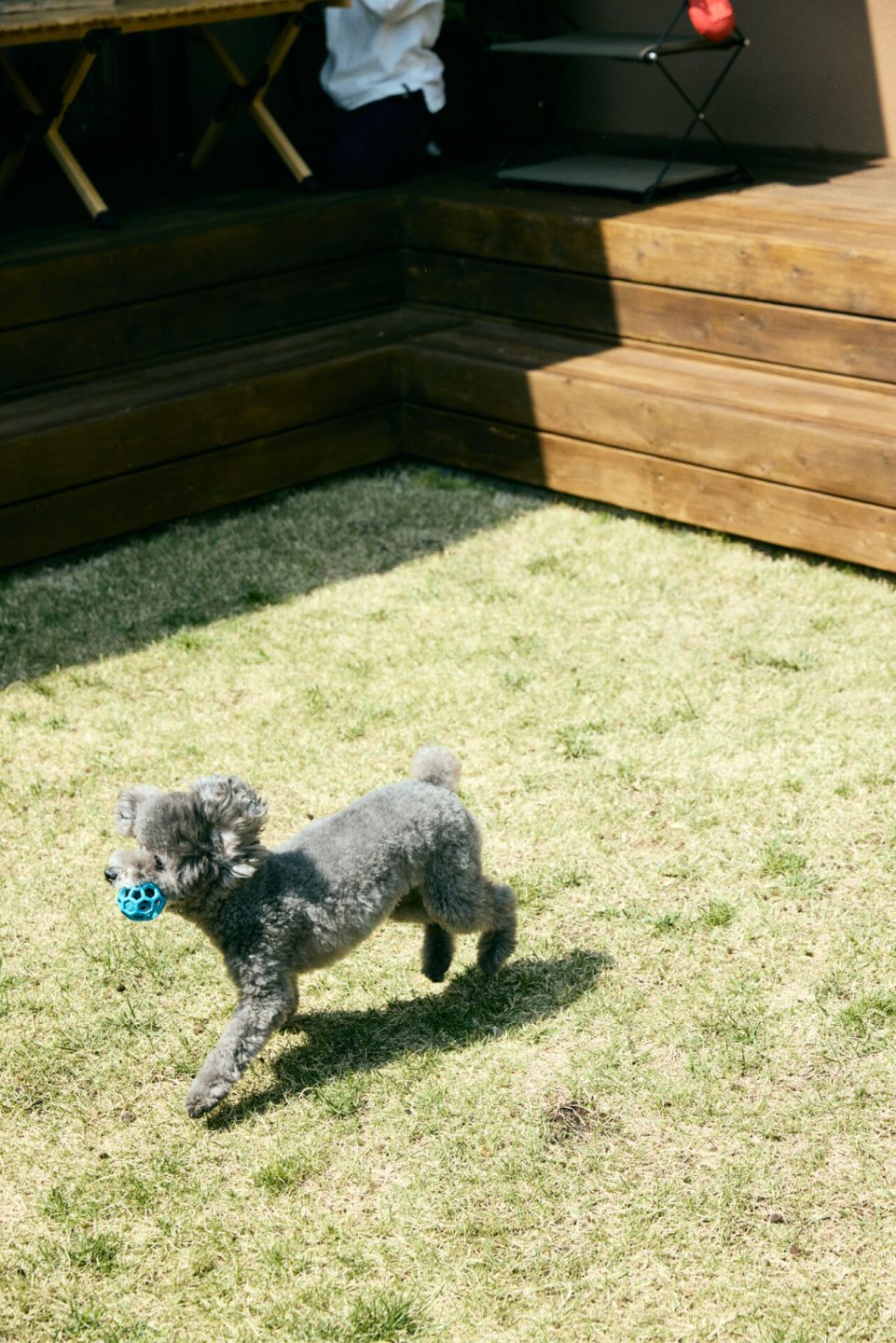 が手がけた注文住宅の施工事例（モデルハウス・住宅展示場）