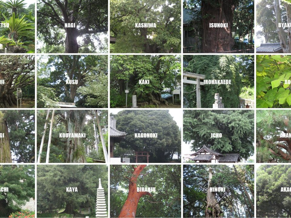 注文住宅を手がける工務店が集まる団体｜住宅展示場ネット