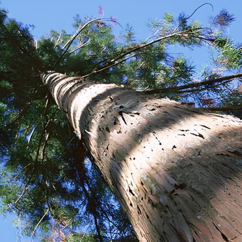 住宅展示場 地球の会の注文住宅 工務店 設計事務所 兵庫県