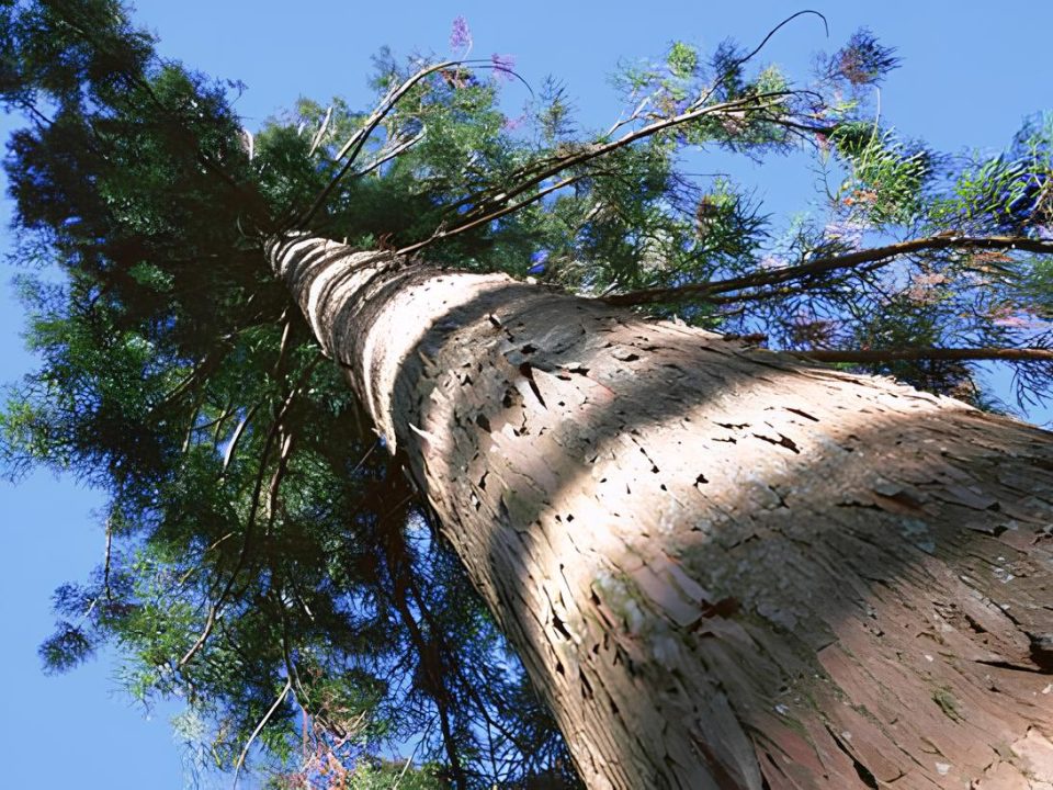 住宅展示場 地球の会の注文住宅 工務店 設計事務所 兵庫県