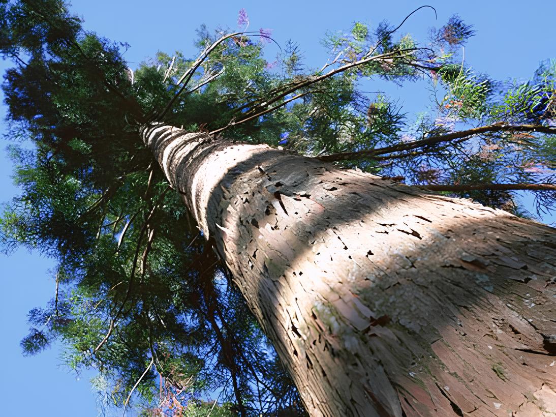 注文住宅を手がける工務店が集まる団体｜住宅展示場ネット
