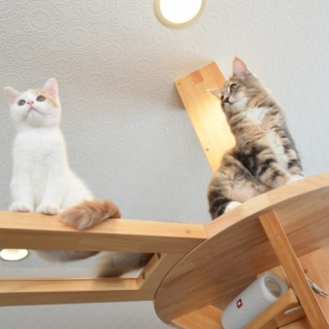 全建の注文住宅・家づくりの特徴｜新潟県新潟市で叶える高性能で自分らしい住まい