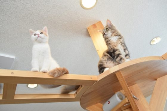 全建の注文住宅・家づくりの特徴｜新潟県新潟市で叶える高性能で自分らしい住まい