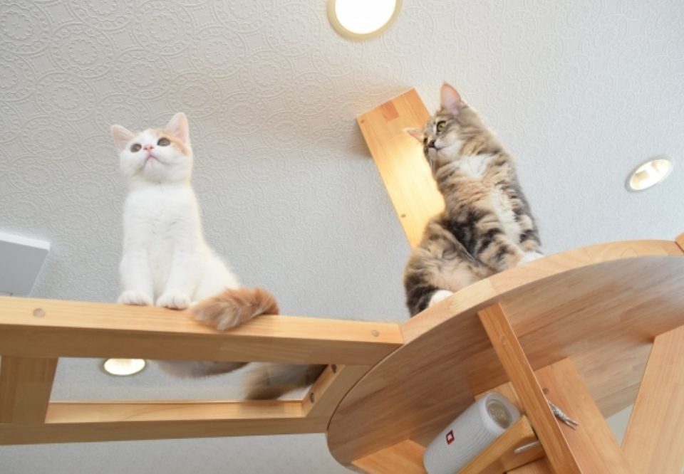 全建の注文住宅・家づくりの特徴｜新潟県新潟市で叶える高性能で自分らしい住まい