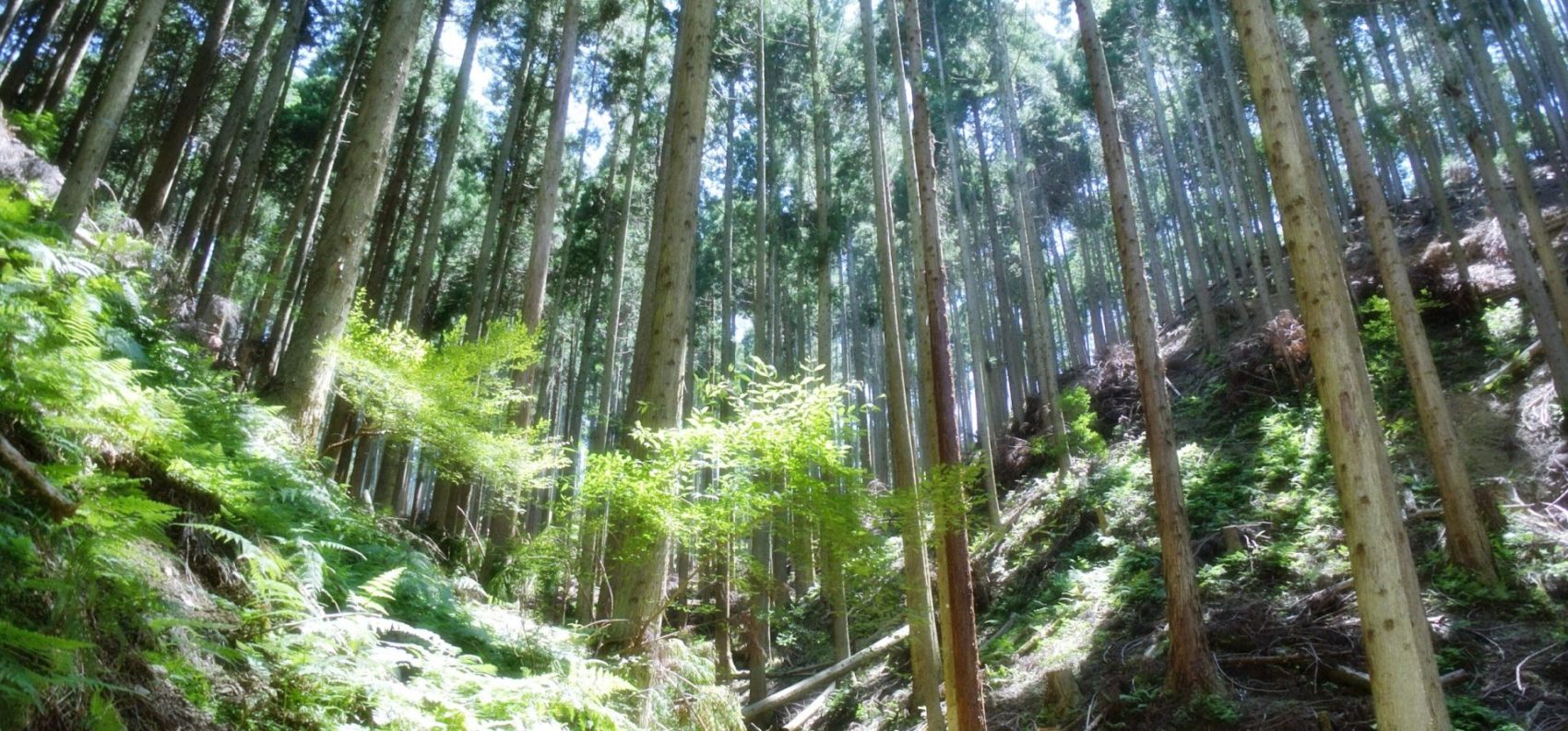 注文住宅を手がける工務店が集まる団体｜住宅展示場ネット