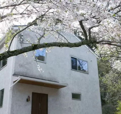 住宅展示場ネット 注文住宅 モデルハウス 工務店 エムジーエス（Laboite） 藤沢市