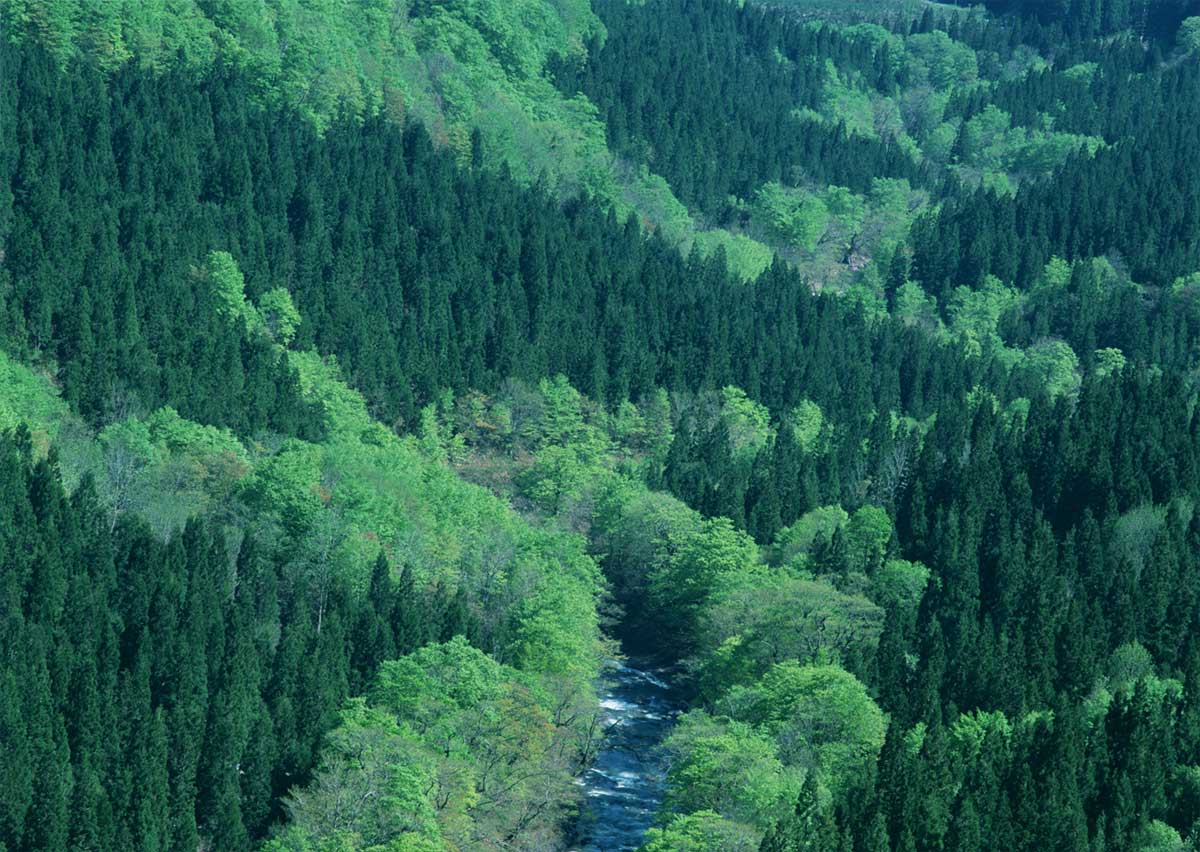 注文住宅を手がける工務店が集まる団体｜住宅展示場ネット