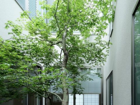 住宅展示場ネット 注文住宅 モデルハウス 建築設計事務所 藤田征樹建築設計事務所 新宿区