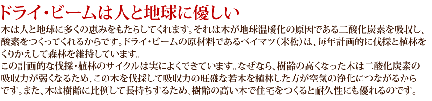 住宅展示場 注文住宅 モデルハウス 工務店 フレックス唐津 唐津市