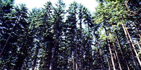 住宅展示場 注文住宅 モデルハウス 工務店 フレックス唐津 唐津市