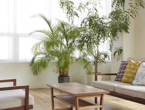 島根県邑南町の注文住宅・モデルハウスなら原田建設